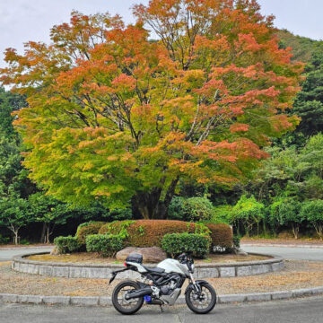 菊陽浜戸公園で撮影されたCB125Rの画像