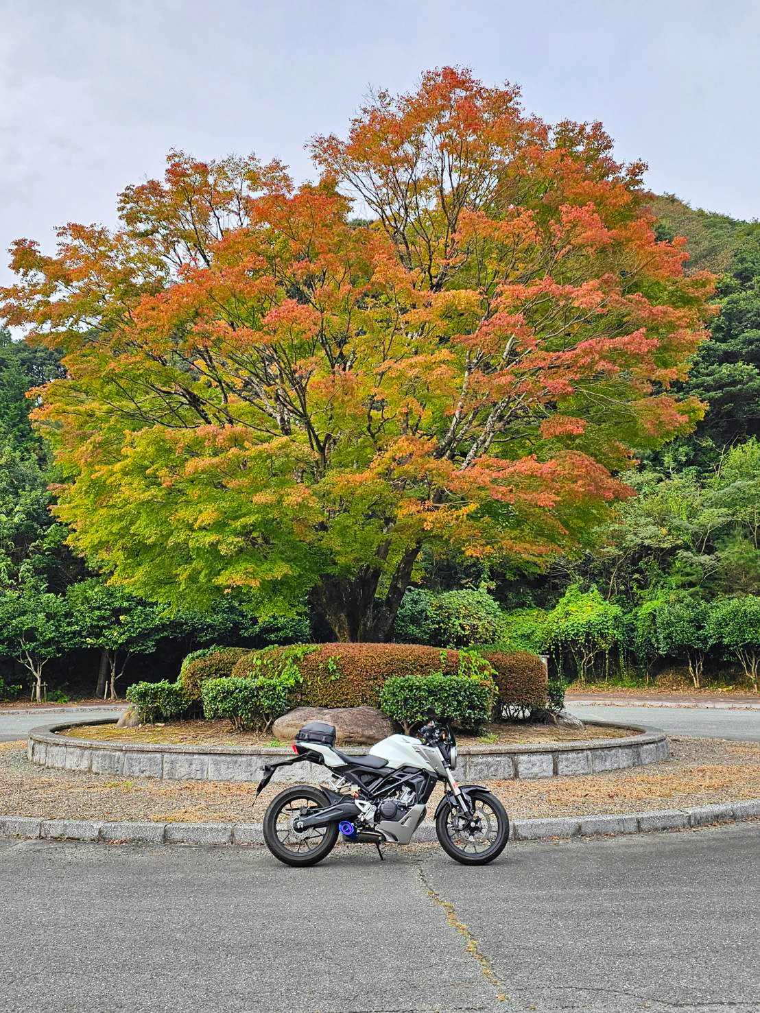 菊陽浜戸公園で撮影されたCB125Rの画像