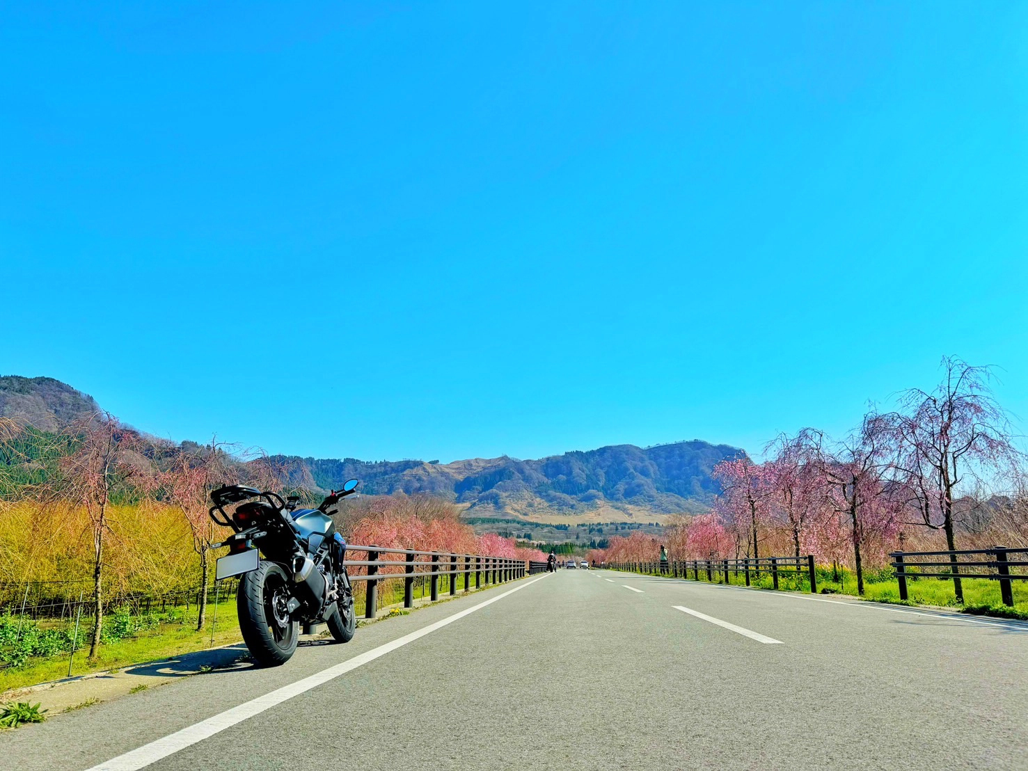高森町サクラミチで撮影されたCB250Rの画像