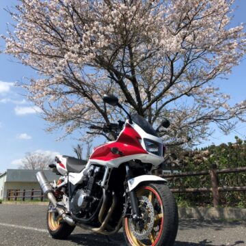 フォトコンテスト画像