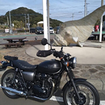 フォトコンテスト画像