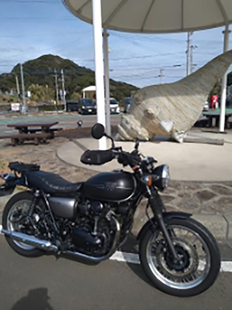 鹿児島県で撮影されたW800の画像