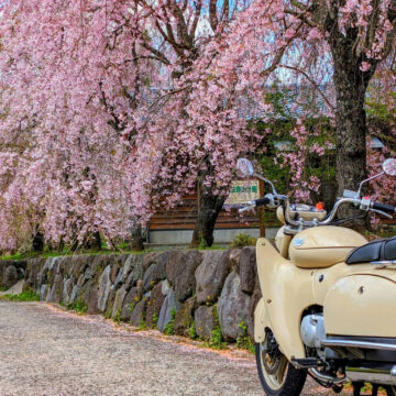 高森町で撮影されたSW-1の画像