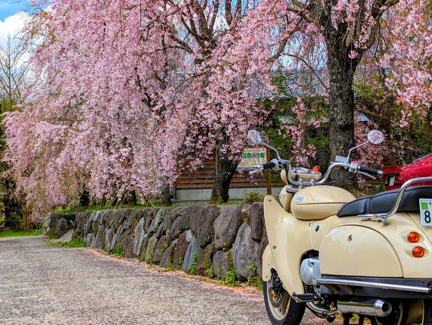 高森町で撮影されたSW-1の画像