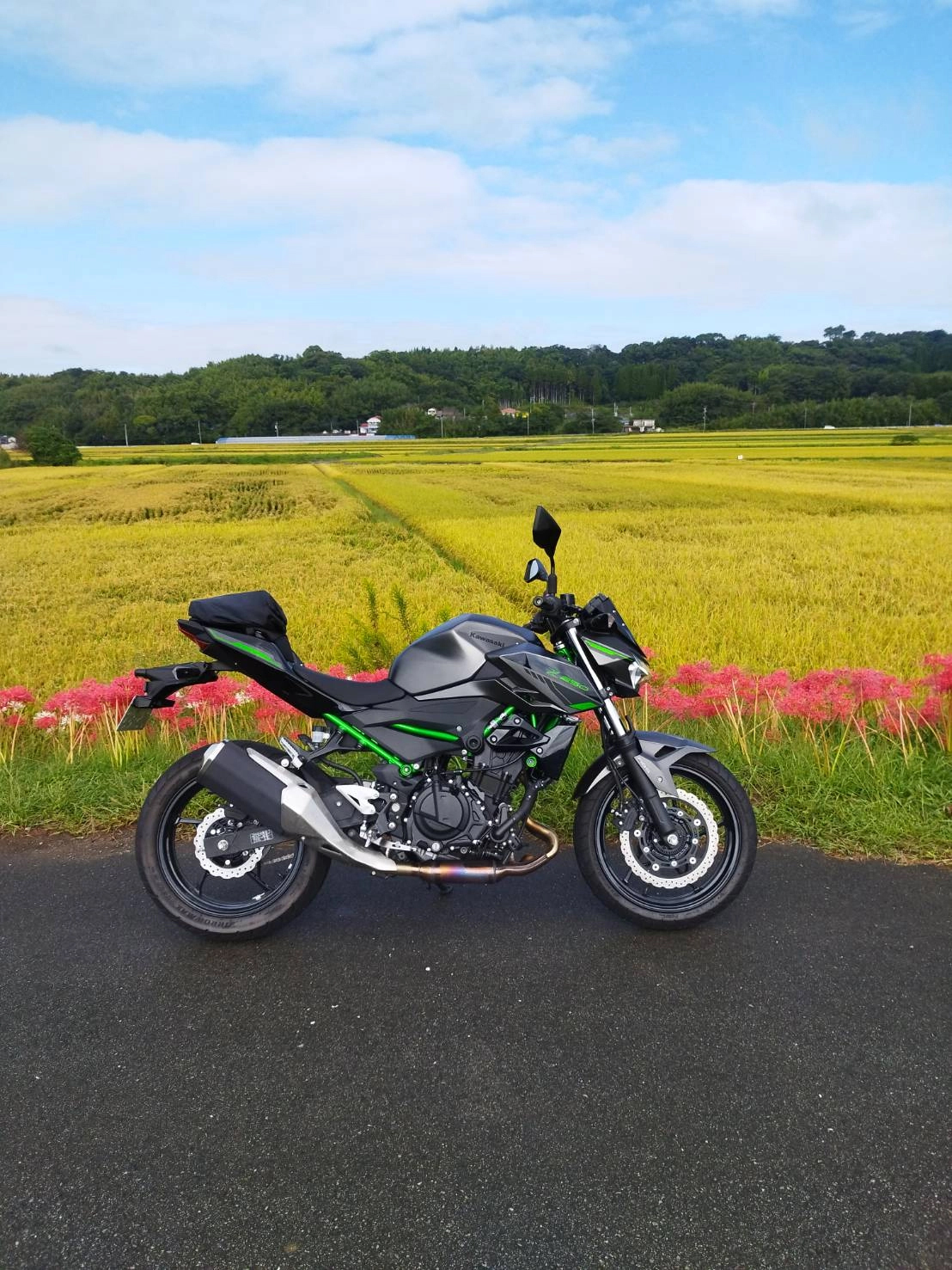 益城町彼岸花ロードで撮影されたZ250の画像