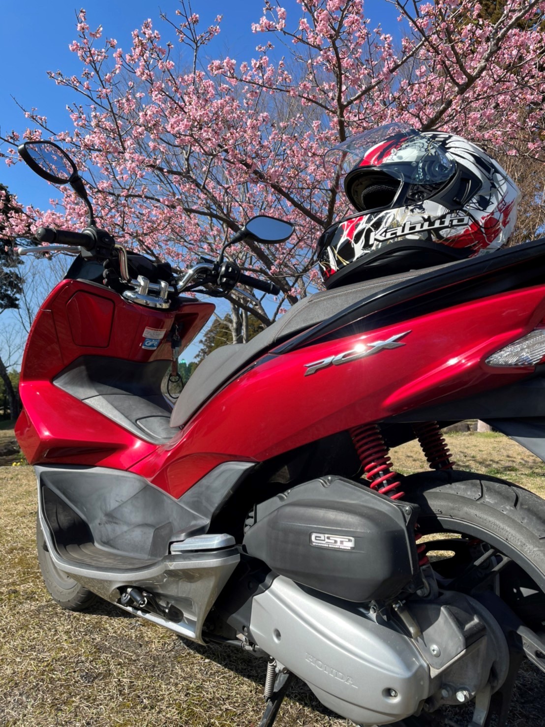 阿蘇郡南阿蘇村 長野で撮影されたPCX125の画像