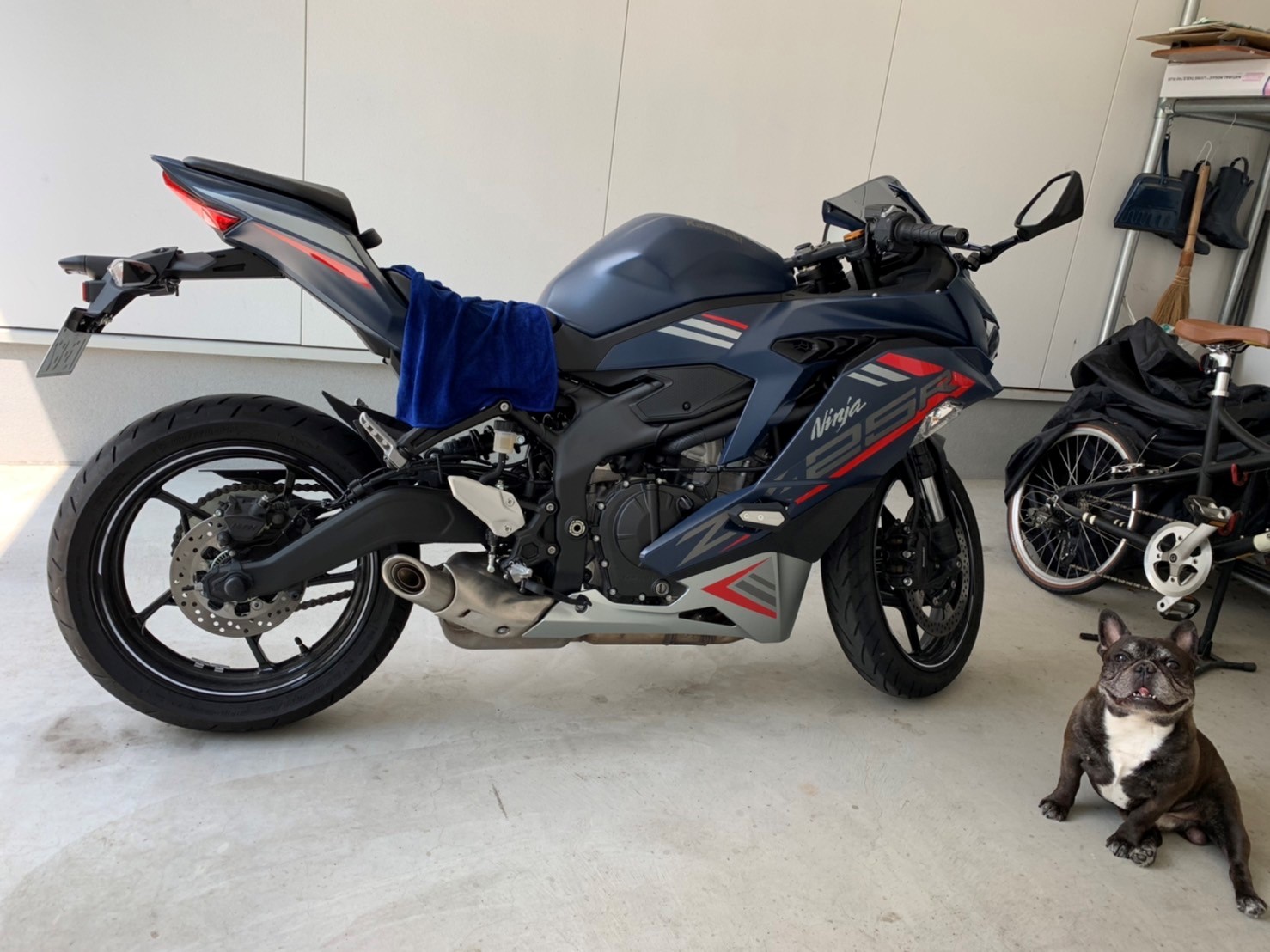 自宅ガレージで撮影されたZX25R SEの画像