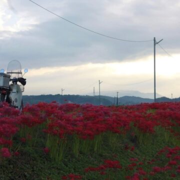 益城町で撮影されたスーパーカブの画像
