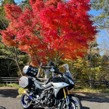 不明で撮影されたトレーサー900の画像