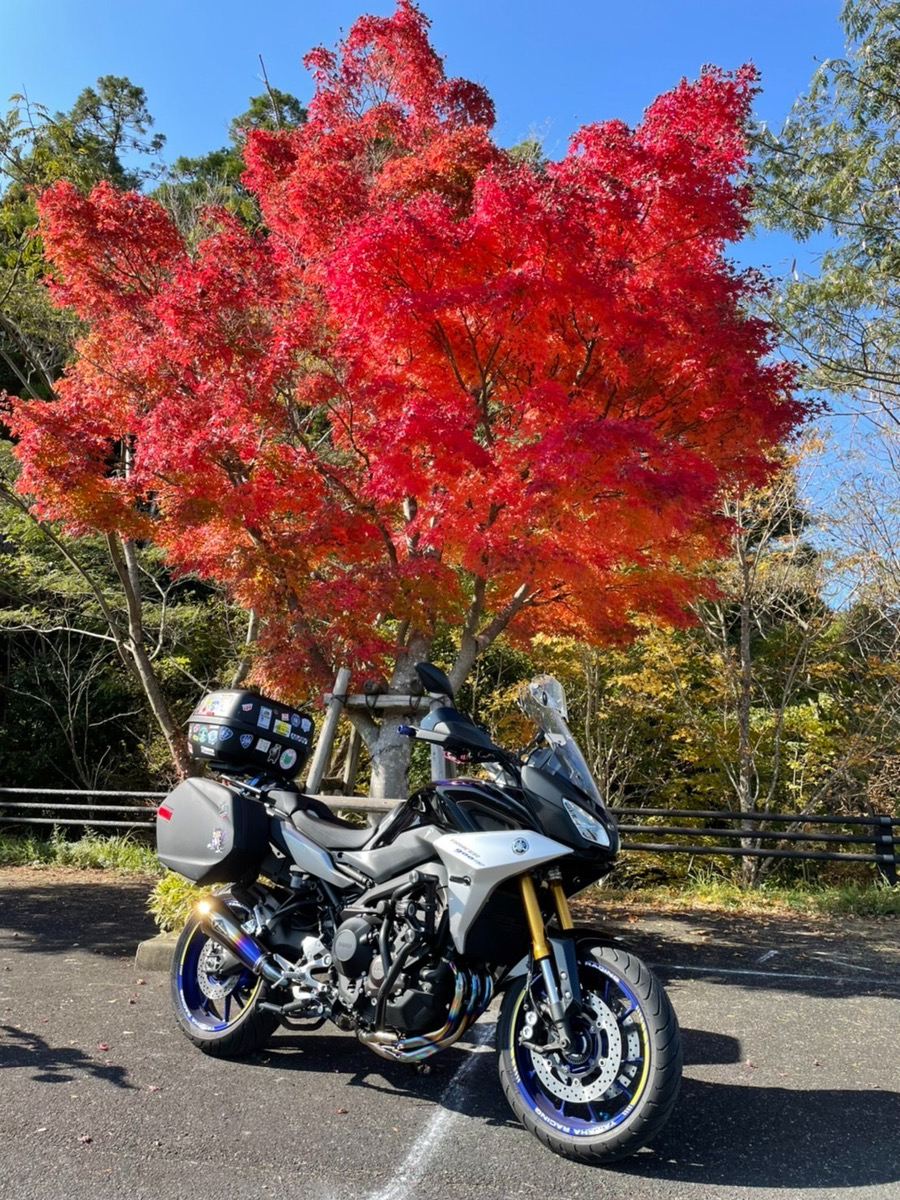 不明で撮影されたトレーサー900の画像