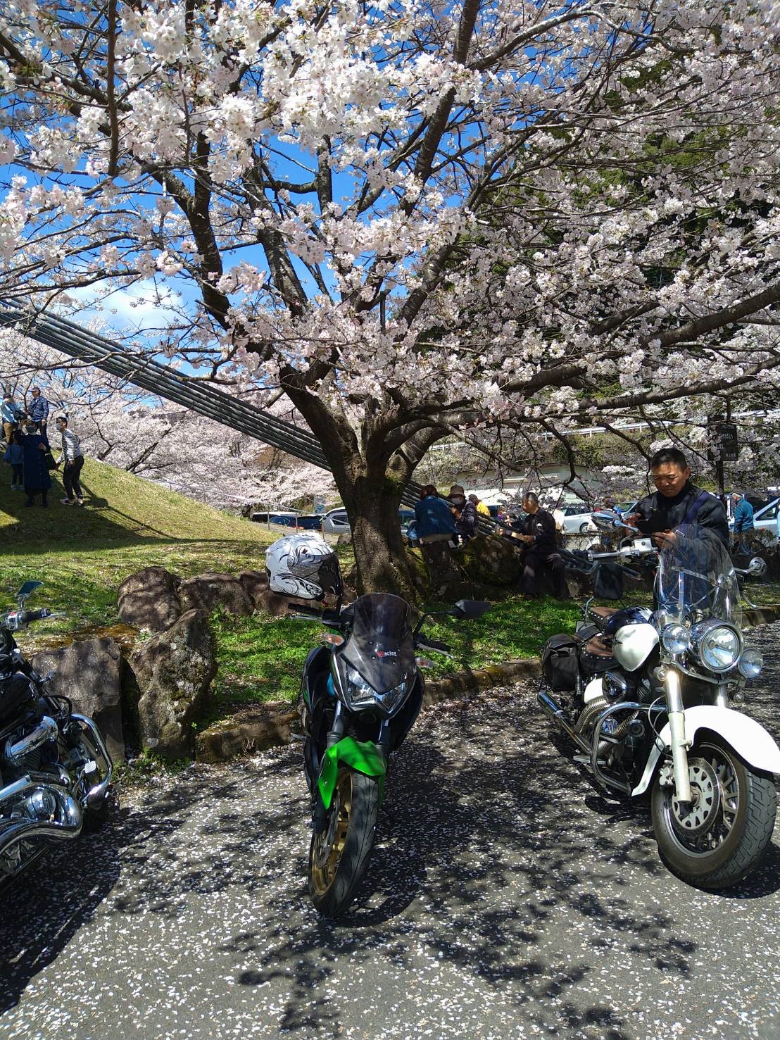 水上村で撮影されたZ250の画像
