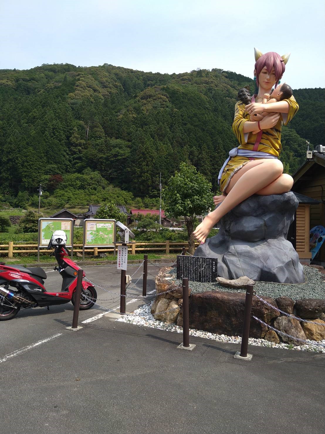愛媛県で撮影されたシグサスの画像