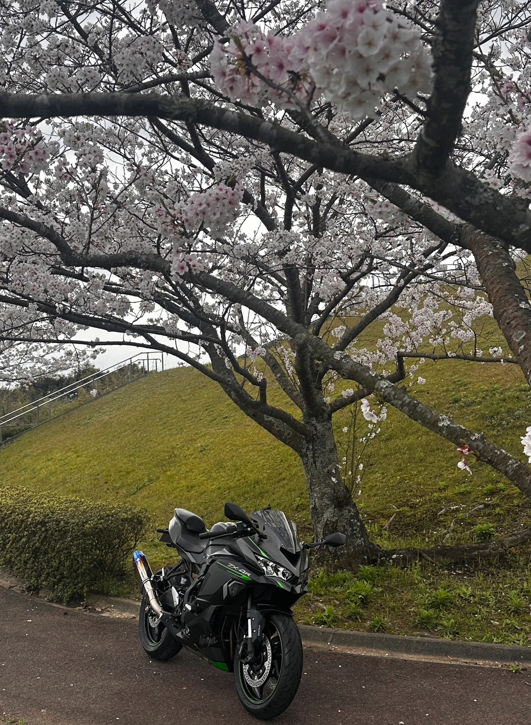 天草空港で撮影されたZX4 R SEの画像