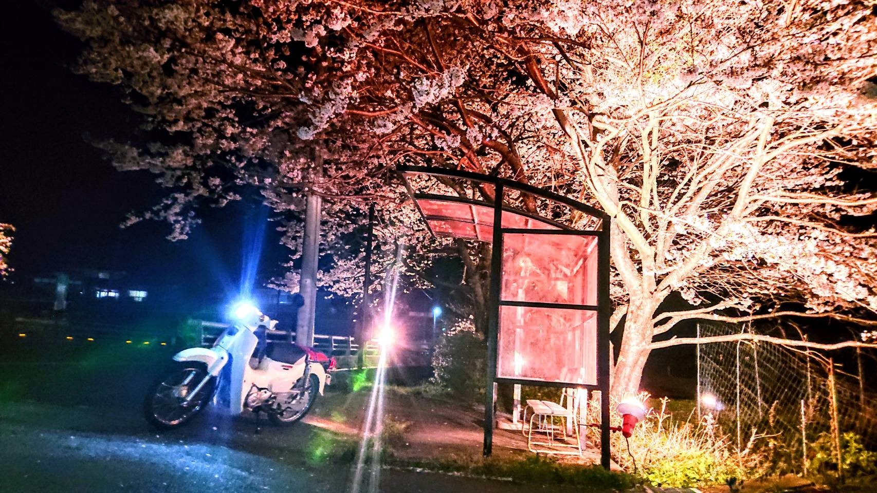 滋賀県 大津市の伊香立で撮影されたスーパーカブ110の画像