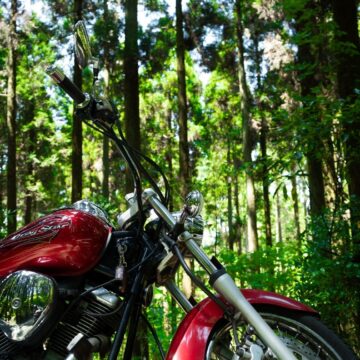 高森峠で撮影されたドラッグスター250の画像