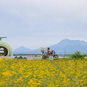 長崎県 諫早フルーツバス停で撮影されたタイガー900ラリープロの画像
