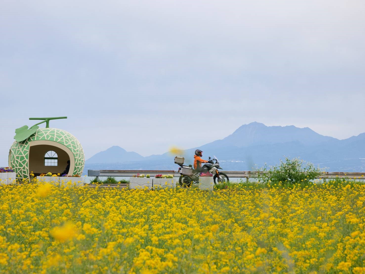 長崎県 諫早フルーツバス停で撮影されたタイガー900ラリープロの画像