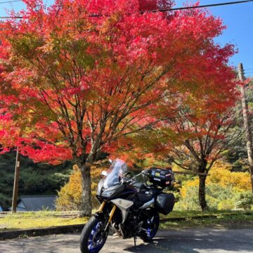 五家荘で撮影されたトレーサー900gtの画像