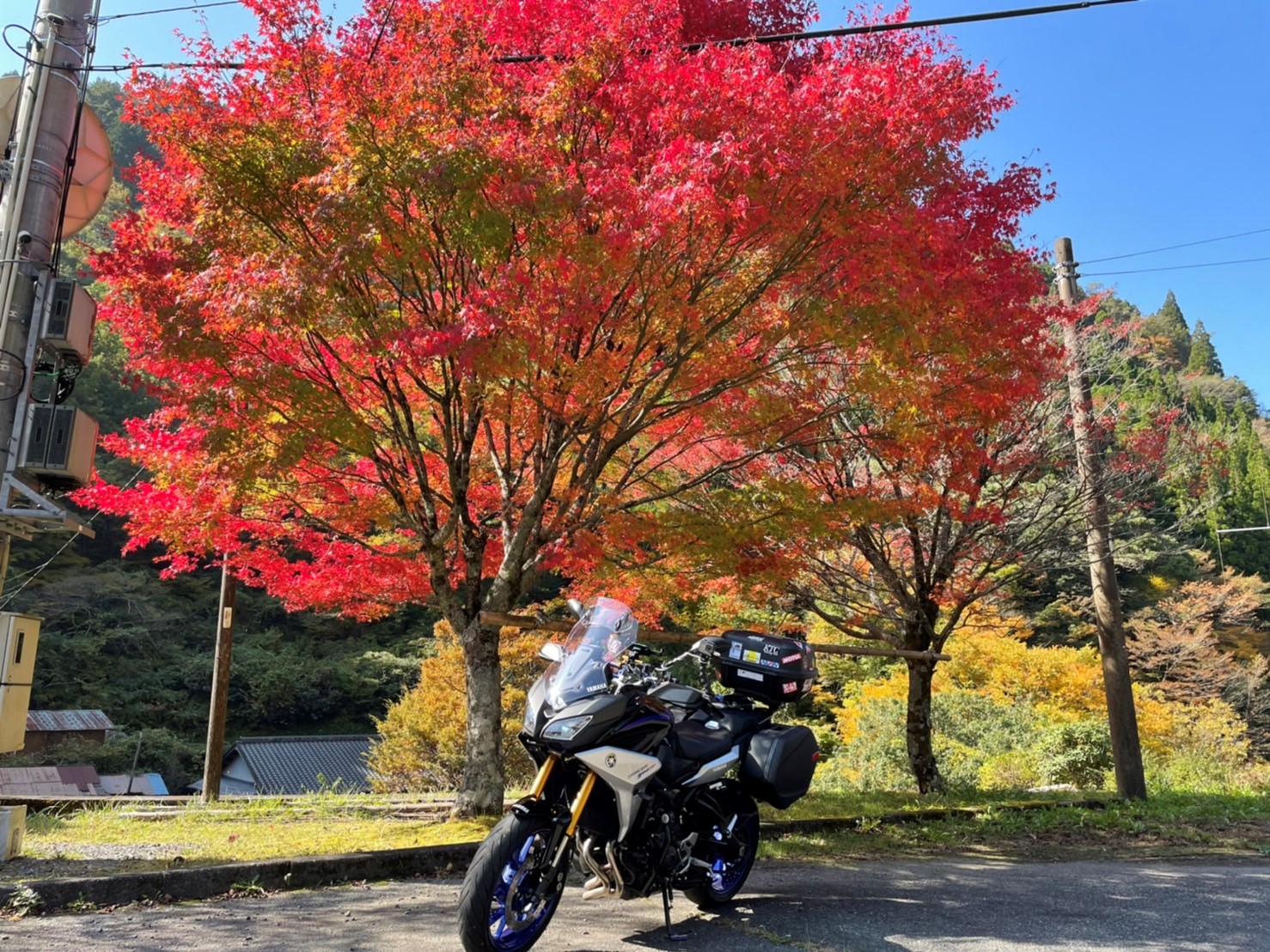 五家荘で撮影されたトレーサー900gtの画像