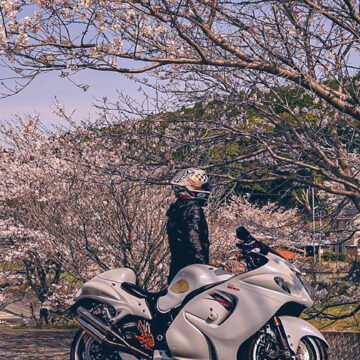 西原村で撮影された隼の画像