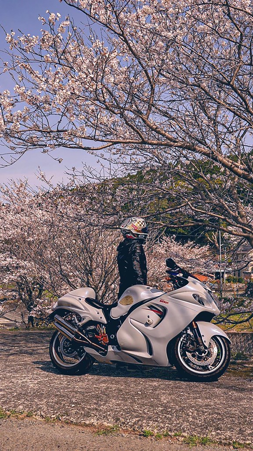 西原村で撮影された隼の画像