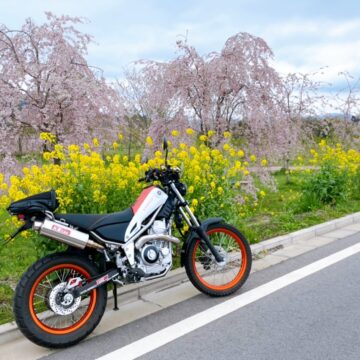 根子岳さくら通りで撮影されたトリッカーの画像