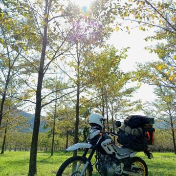 阿蘇高森で撮影されたセロー250の画像