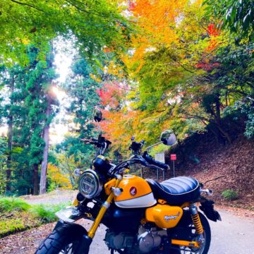 鳥取県で撮影されたモンキー125の画像