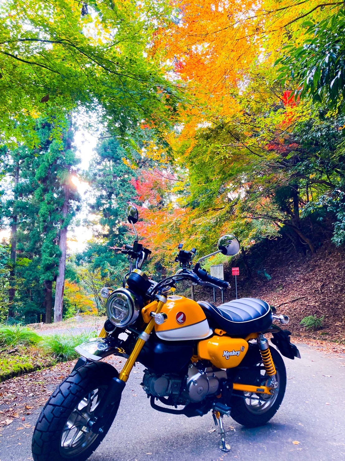 鳥取県で撮影されたモンキー125の画像