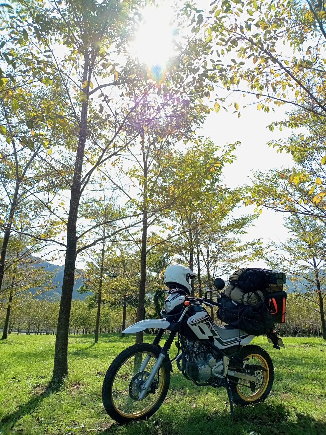 阿蘇高森で撮影されたセロー250の画像