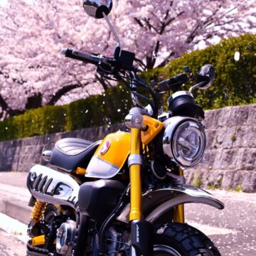 鳥取市で撮影されたモンキー125の画像