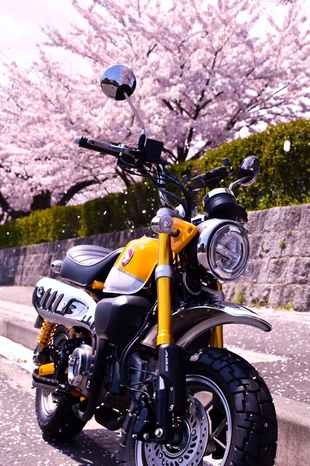 鳥取市で撮影されたモンキー125の画像
