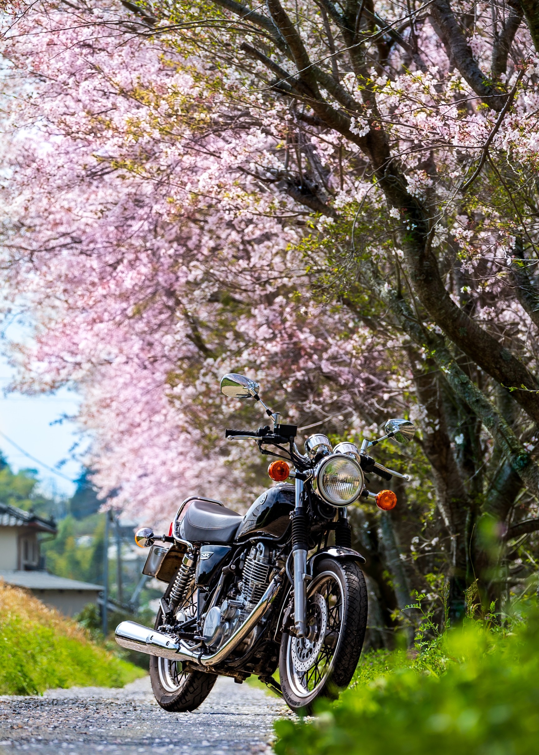 最優秀賞：西原村で撮影されたSR400の画像