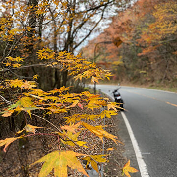 阿蘇の山道で撮影されたZ900RSの画像