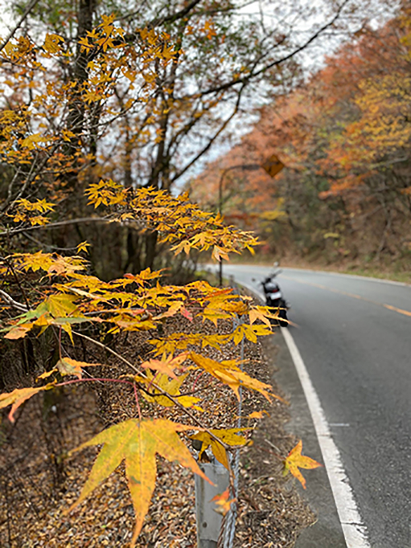 阿蘇の山道で撮影されたZ900RSの画像