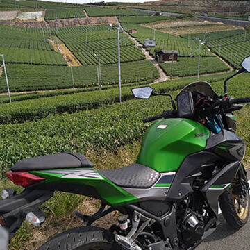 八女中央大茶園で撮影されたZ250の画像
