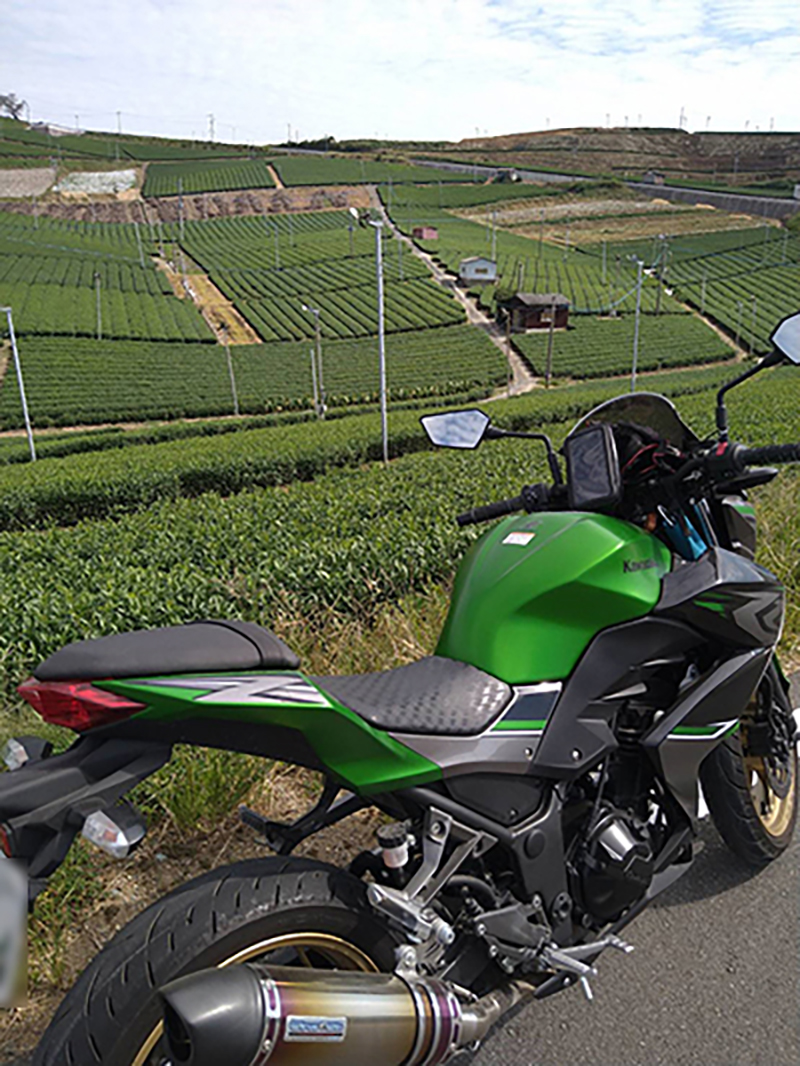 八女中央大茶園で撮影されたZ250の画像