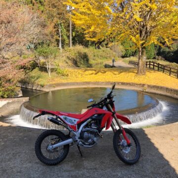フォトコンテスト画像