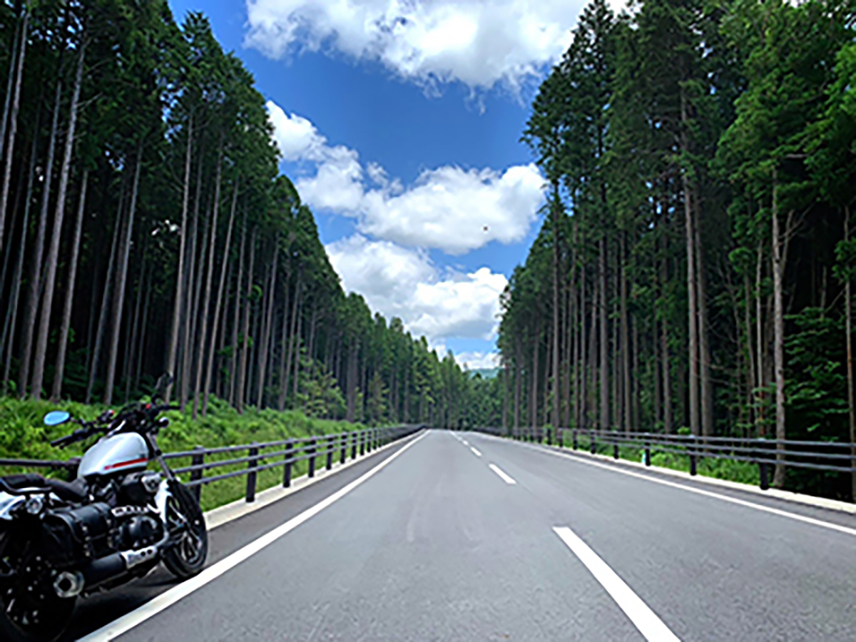 高森町色見で撮影されたBOLTの画像