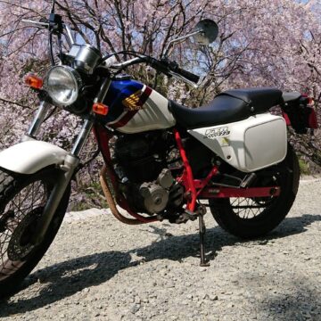立田山で撮影されたFTR223の画像