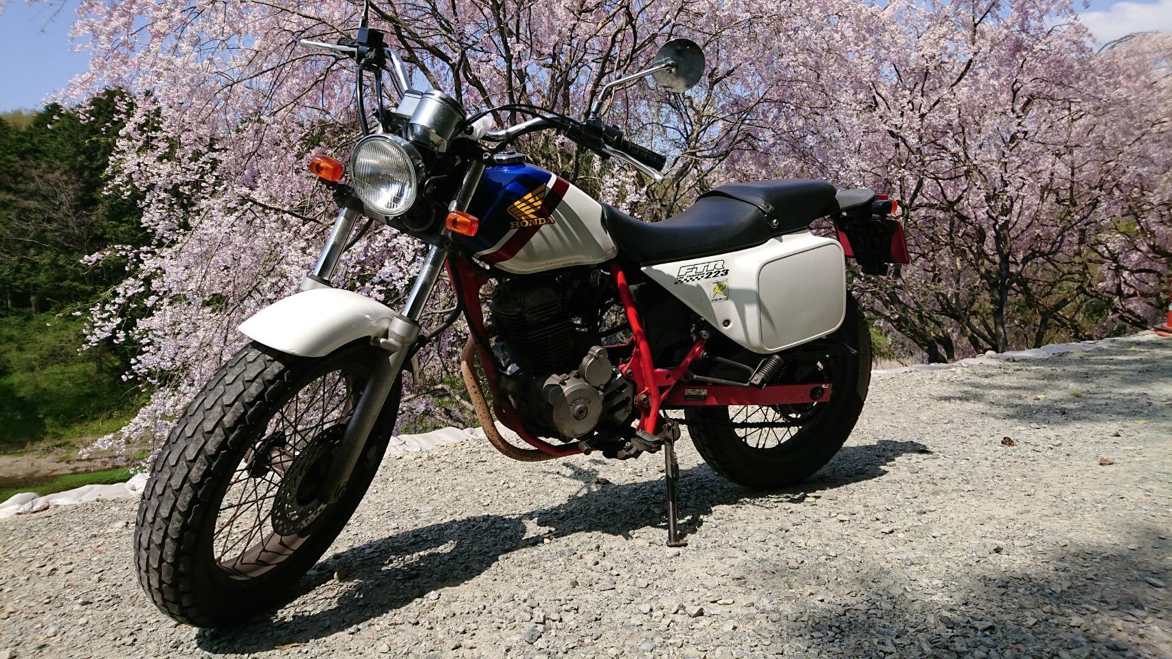 立田山で撮影されたFTR223の画像