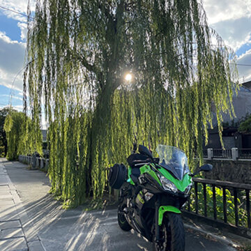 新屋敷水路沿いで撮影されたNinja650の画像