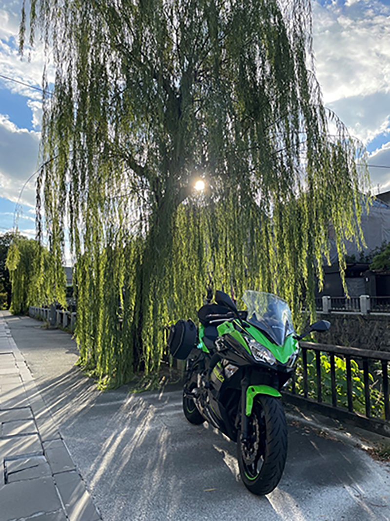 新屋敷水路沿いで撮影されたNinja650の画像
