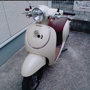 熊本で撮影されたジョルノの画像