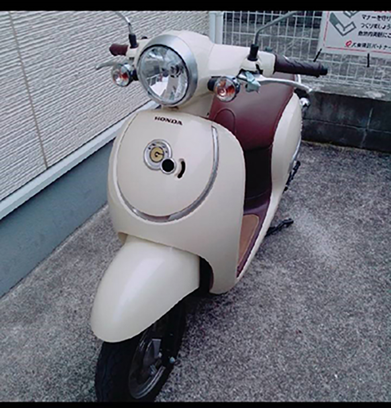 熊本で撮影されたジョルノの画像