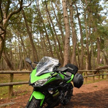 唐津市虹の松原で撮影されたNinja650の画像