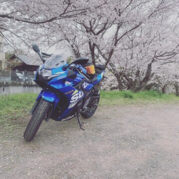 立岡自然公園で撮影されたGSX250rの画像