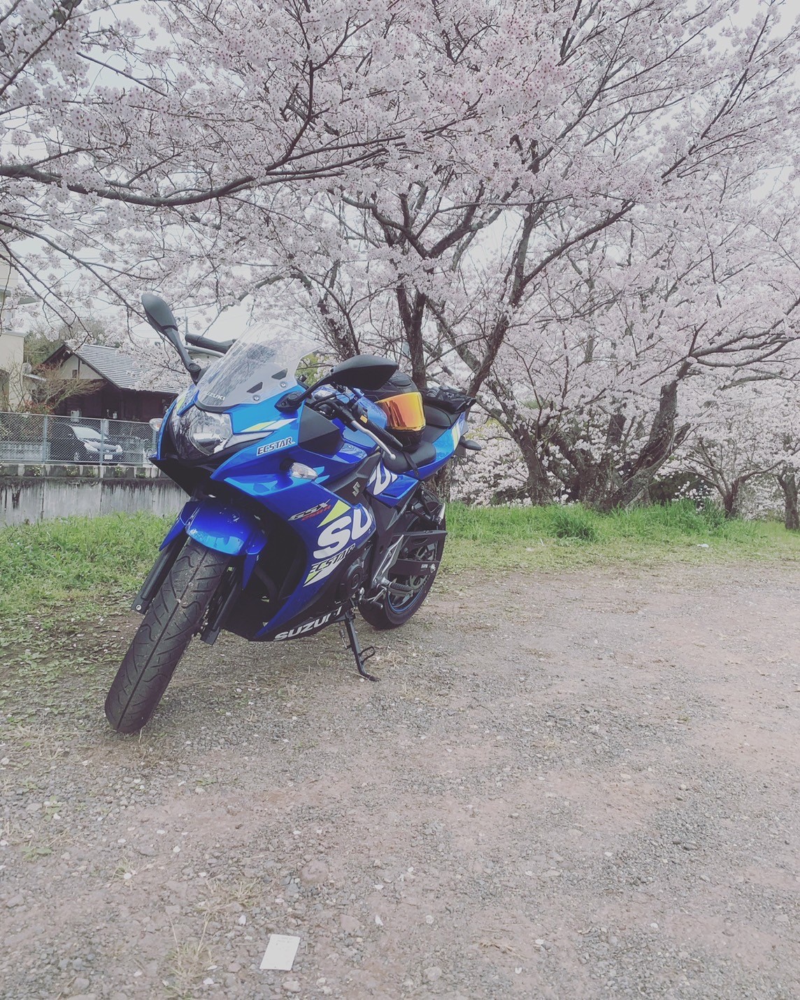 立岡自然公園で撮影されたGSX250rの画像