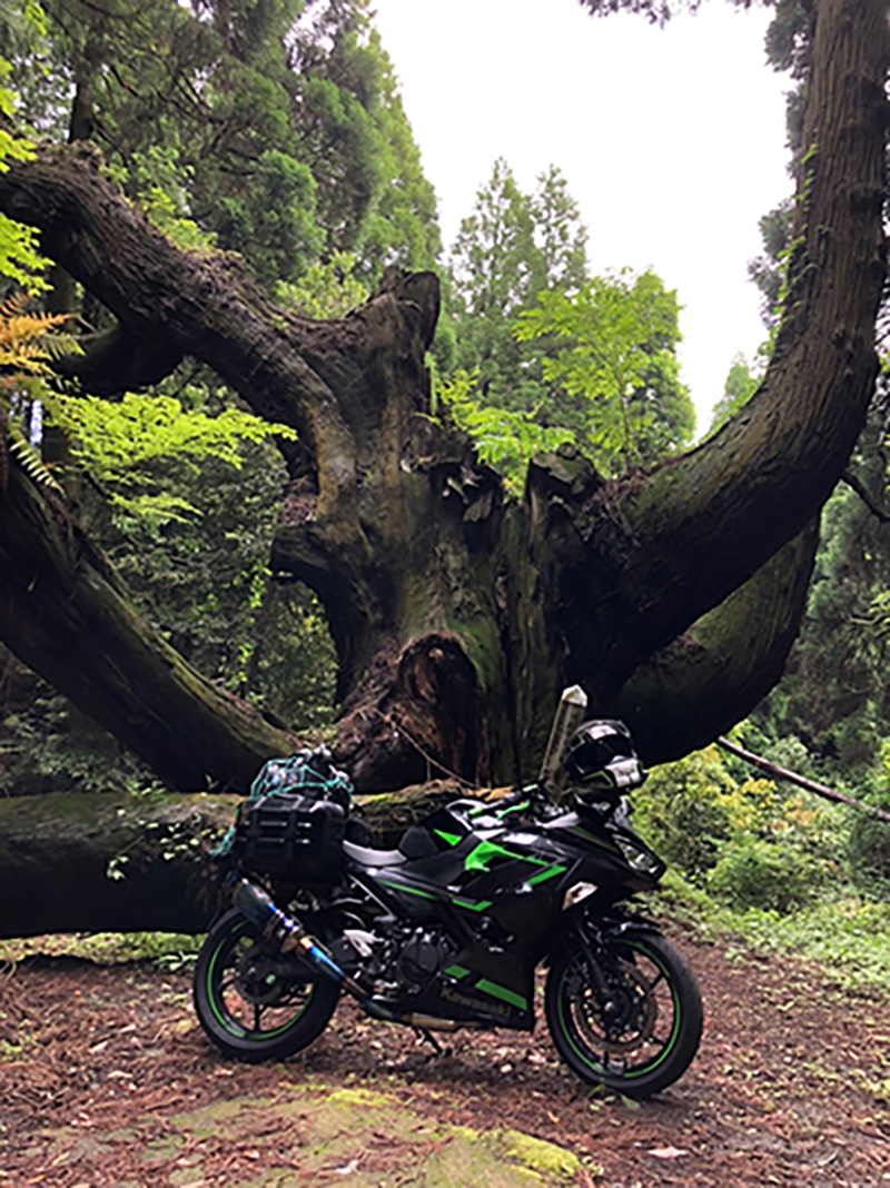 阿蘇で撮影されたNinja400の画像