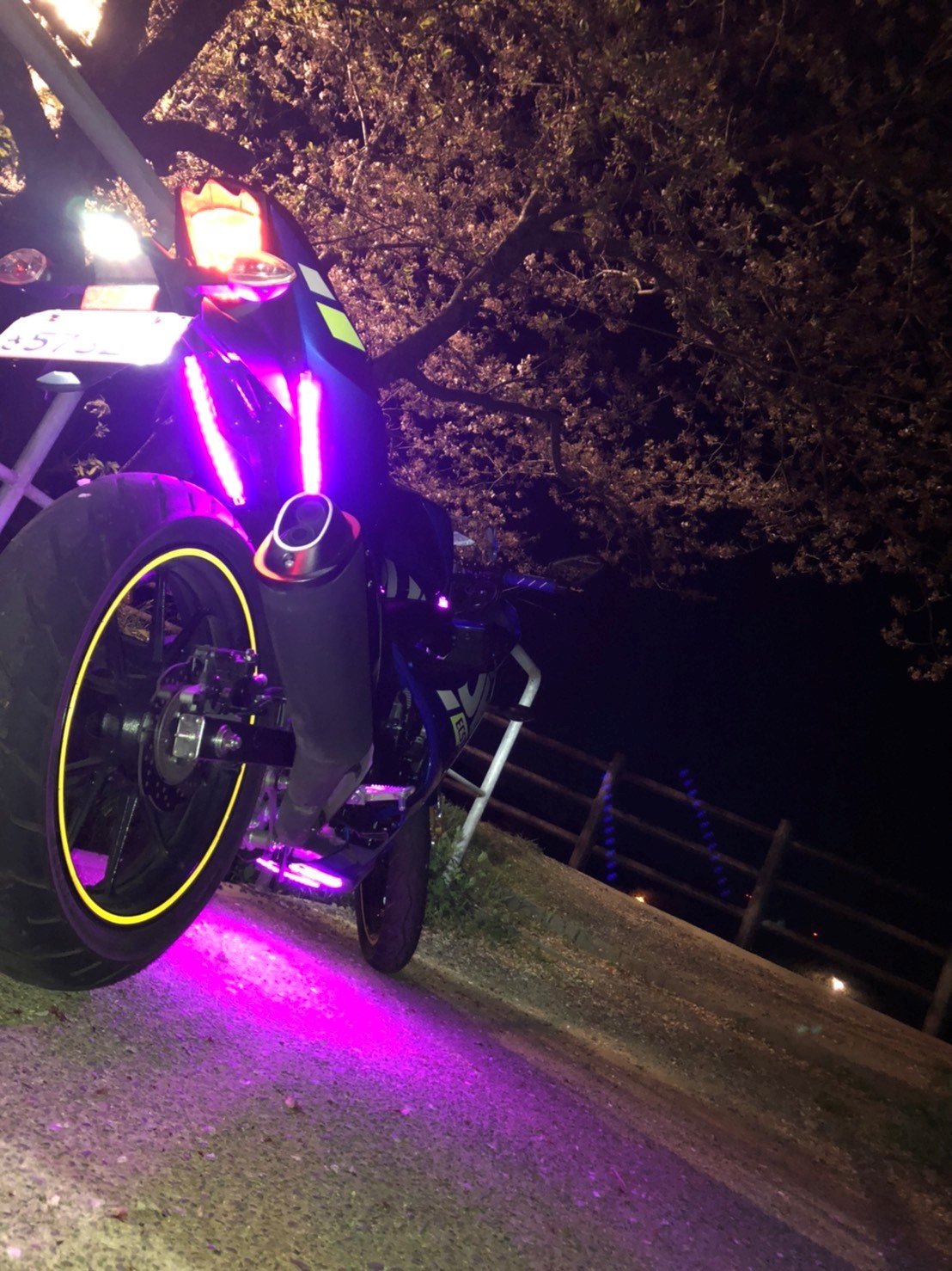 立岡自然公園で撮影されたGSXr125の画像